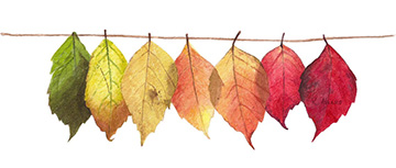 fall-is-coming.jpg